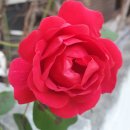 전기수리전기공사전기누전수리전기출장수리전기긴급수리 이미지