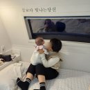태양&amp;바다카라반 :: 포항 호미곶 오션뷰 감성숙소 일출맛집카라반