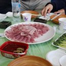 7호수산