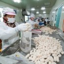 포동청년회영농조합법인 이미지