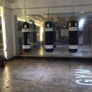 정도체육관 이미지