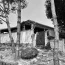 CU 춘천현대점 이미지