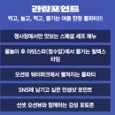 패스티발 | 부산 해운대 클럽디 오아시스 풀파티 스플래쉬 페스티벌 후기