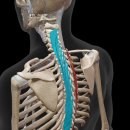 코어피트니스 우정점 이미지