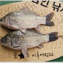 삼인낚시터 이미지