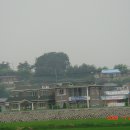 월령초등학교 이미지