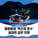 서울시티발레단 동화발레극 ’백조의 호수’ | 동화발레‘백조의 호수’비대면 공연 전환