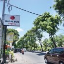 유명갈매기 이미지