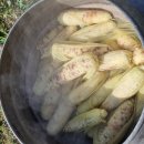 안가마실천 이미지