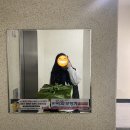 싱싱초록청과