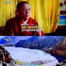 베율 이미지