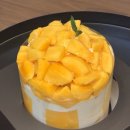대전/성심당/망고시루/임산부패스/웨이팅후기/보령/대천해수욕장/1박2일/남편생일기념/생일파티/여름...