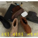 새옴다옴