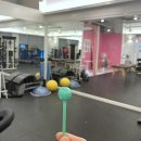 르미핏 | 무릎재활운동 르미핏 부천시청 pt후기: 뇌과학 기반 운동의 새로운 지평