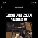 신통치킨 미룡점 이미지