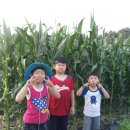 청운인성수련원 이미지