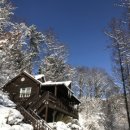 이&강 산림행정사 사무소 | 전자휴 강씨봉 자연휴양림