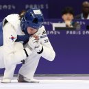 TOP태권도 이미지