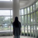 데일리 207 | 여름 코디에 찰떡! 스탠다드에러 반팔 체크 셔츠 M 사이즈 착용 후기 (87-STAN207)