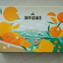 효돈농업협동조합 | [내돈내산] 카카오톡 선물하기 제주 감귤 추천! 효돈농협 고당도 노지 타이벡 후기(1.5kg/12brix)