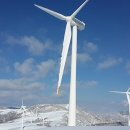 연일목장 이미지