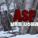 돼지사수