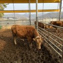 제천농장 이미지