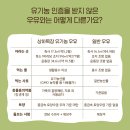 [쟁여놓고 먹는템] 상하목장 유기농 우유 200ml/ 구매꿀팁 영양정보 칼로리 내돈내산 솔직후기