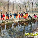 숲어린이집 이미지