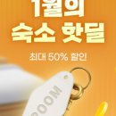 (주)로사코리아 이미지