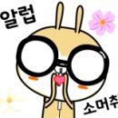 웬디 베이커리 이미지