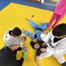 거목유도관 이미지