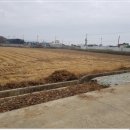 대산면916 이미지