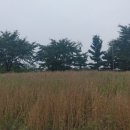 대안중학교 쪽 이미지