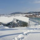 삼일 태양광발전소 이미지