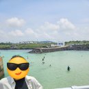 신창1 발전소 | 제주 해안도로 드라이브! / 판포포구 / 신창해안도로 / 제주바다목장 / 싱계물공원 / 엉알해안