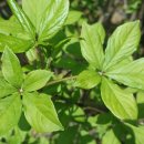 김선영농장 이미지