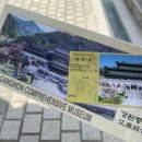 사립강원종합박물관 | [삼척] 사립 강원종합박물관