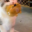 신달하우스 이미지