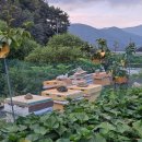 남산리농장 이미지