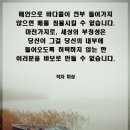 당신이 바로 바보 멍청이 이미지