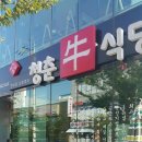 청춘우식당