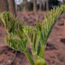 원순농장 이미지