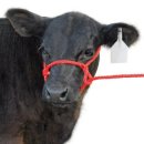 시온목장 이미지