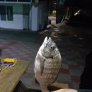 감생이민박 이미지