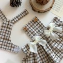 아지애견 이미지