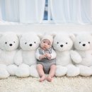 아기곰스튜디오 이미지