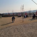 워킹애니멀스쿨 이미지