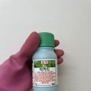 싱송마트