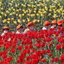 낙동강변11 이미지